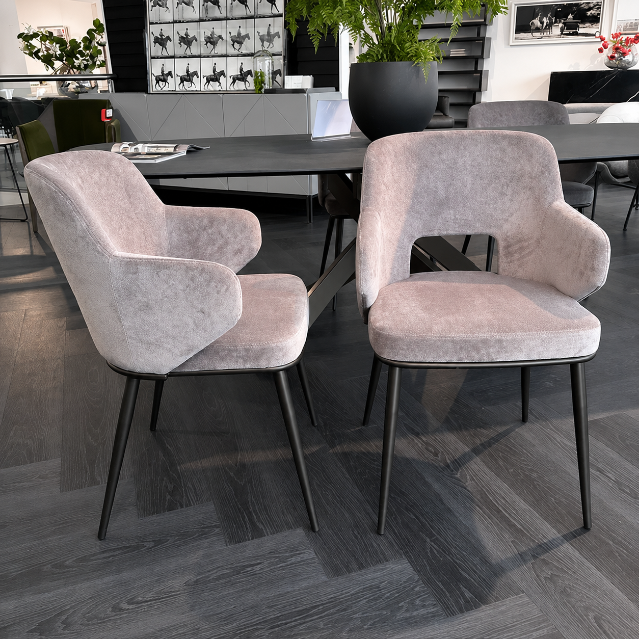 Foyer Carver Dining Chair - Set of 4
