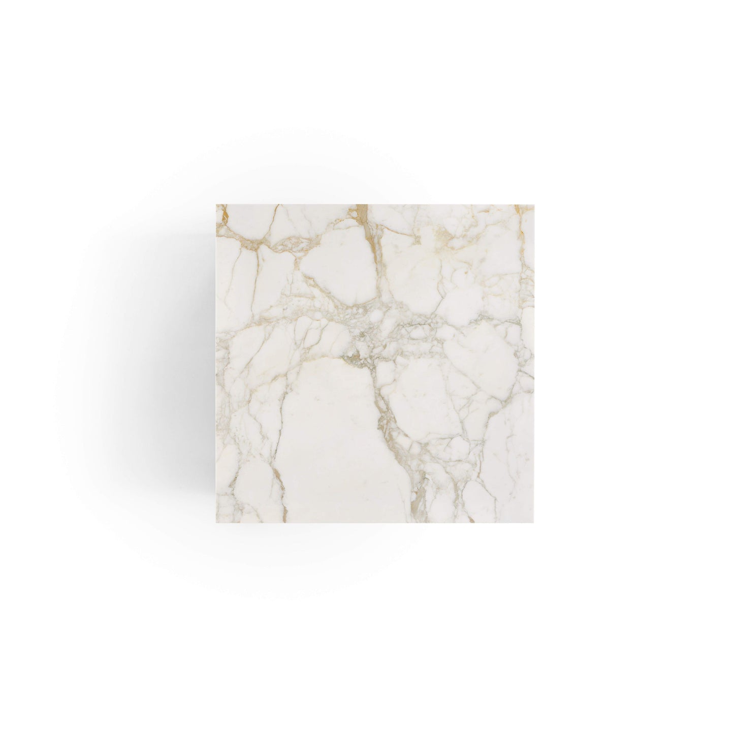 Exilis Fixed Dining Table