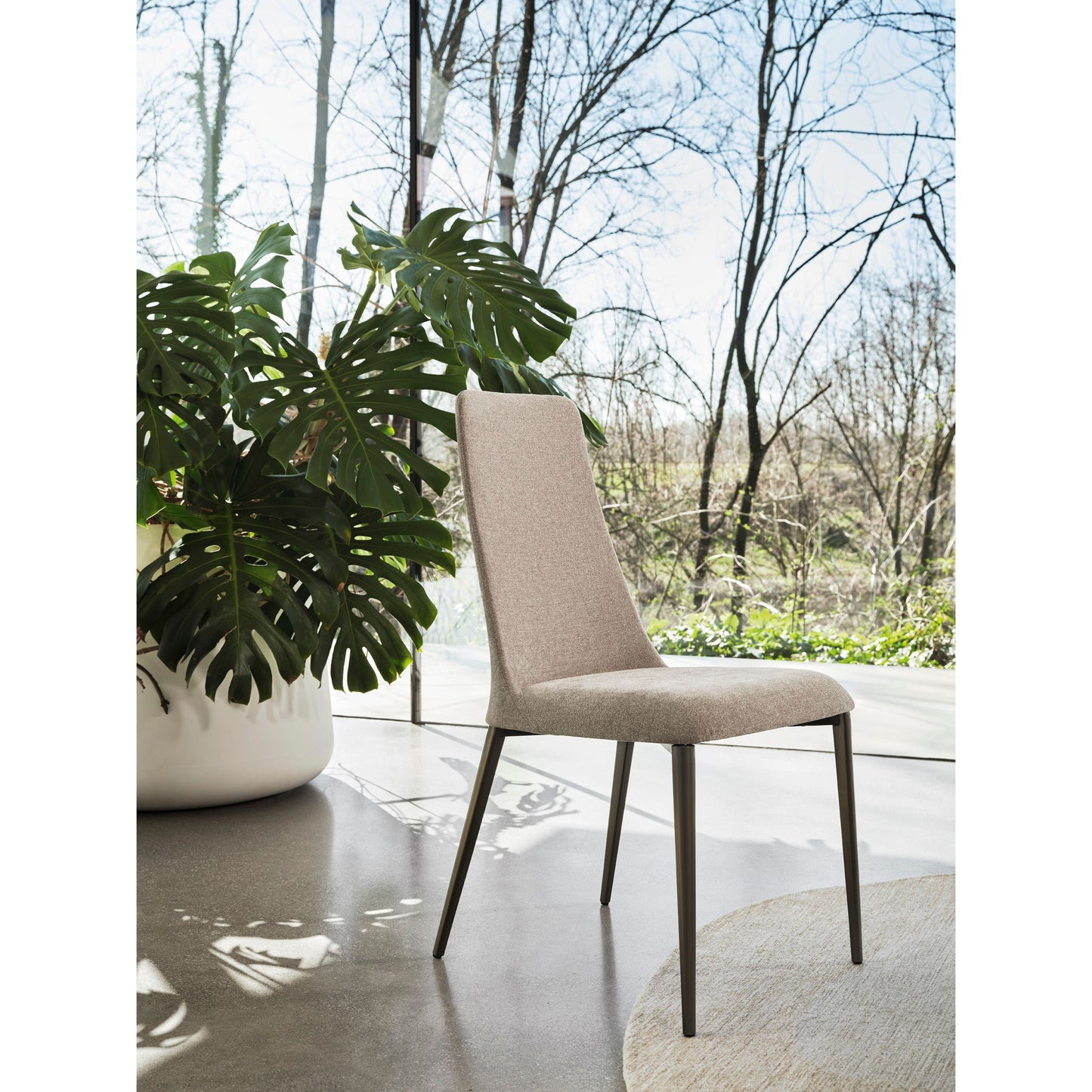 Etoile Dining Chair