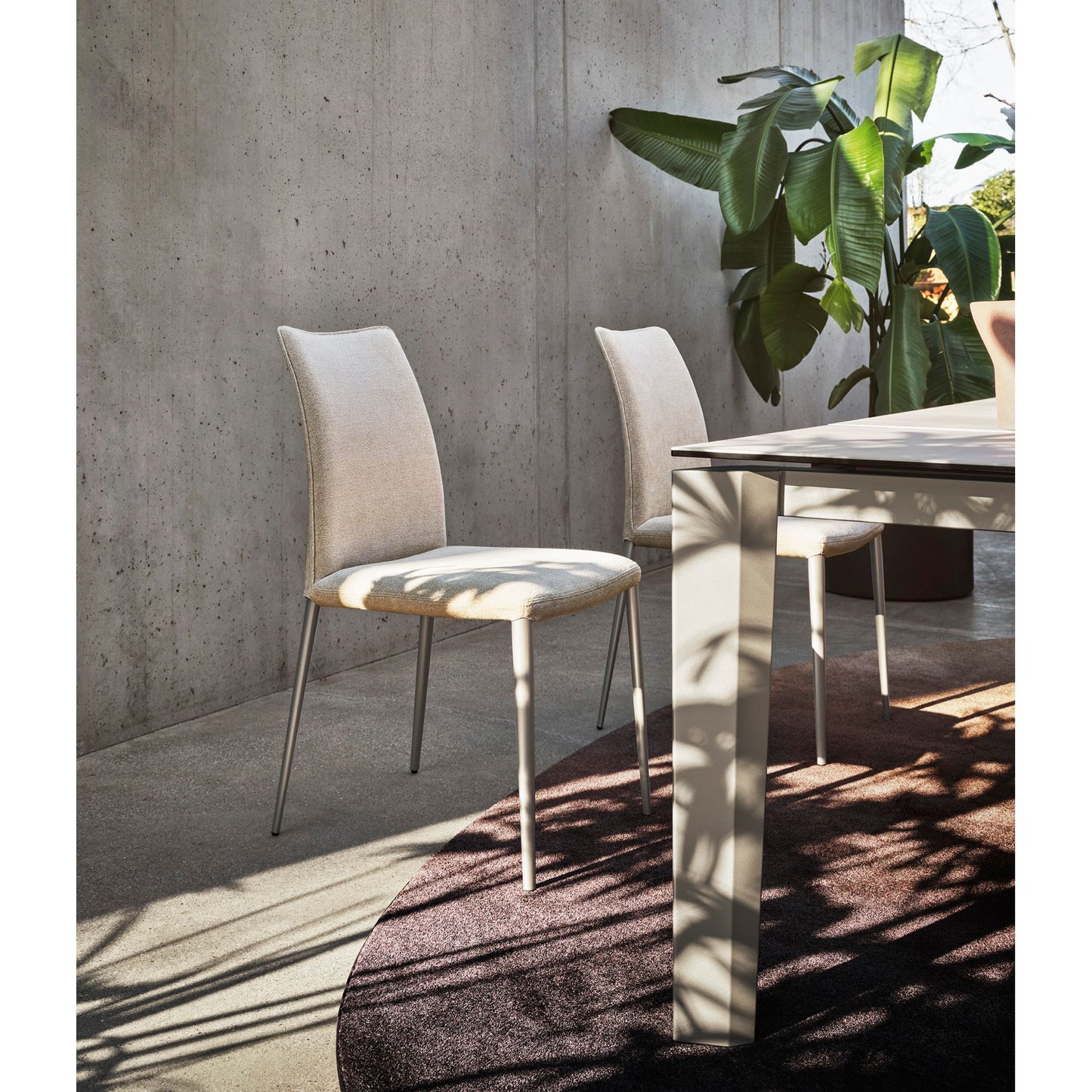 Fay Dining Chair