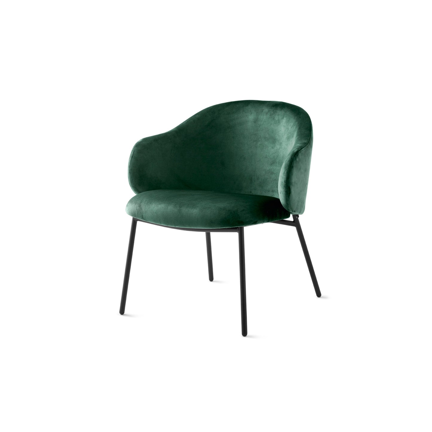 Holly Armchair