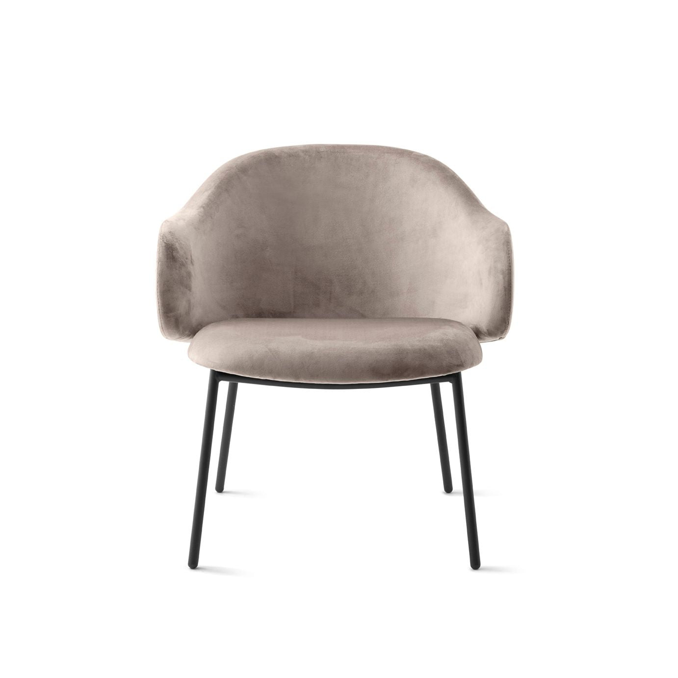 Holly Armchair