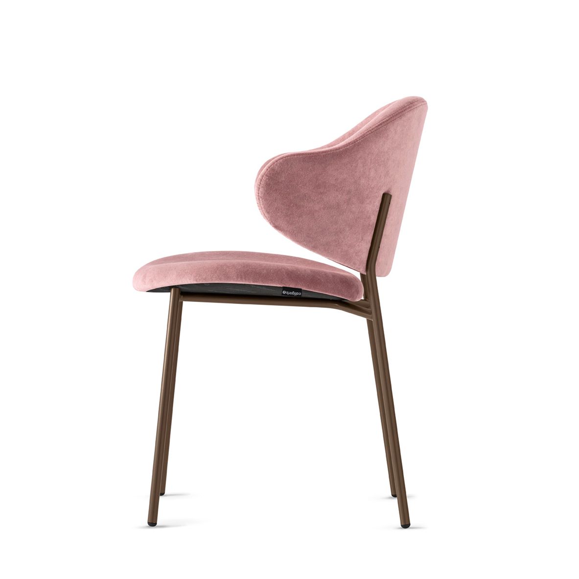 Holly Dining Chair