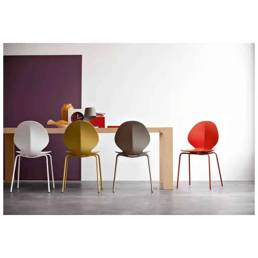Basil Dining Chair