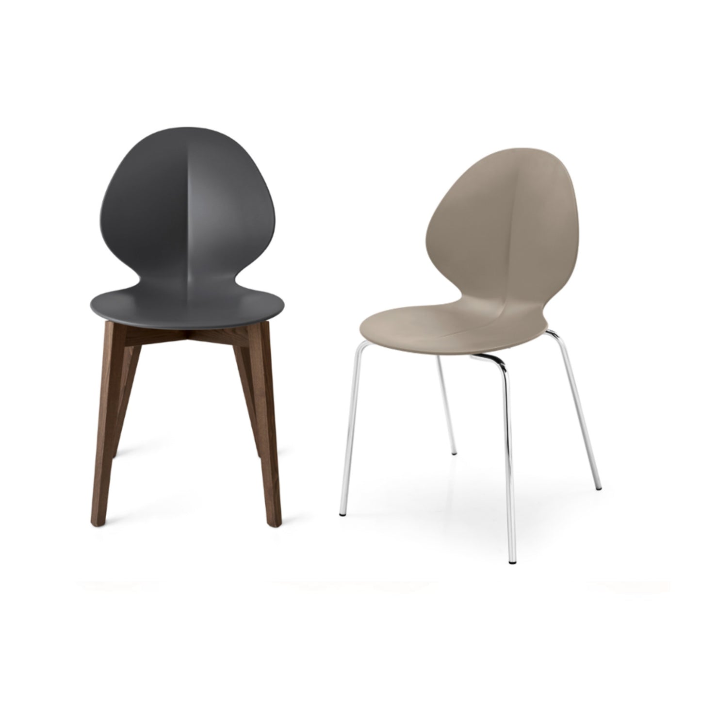 Basil Dining Chair