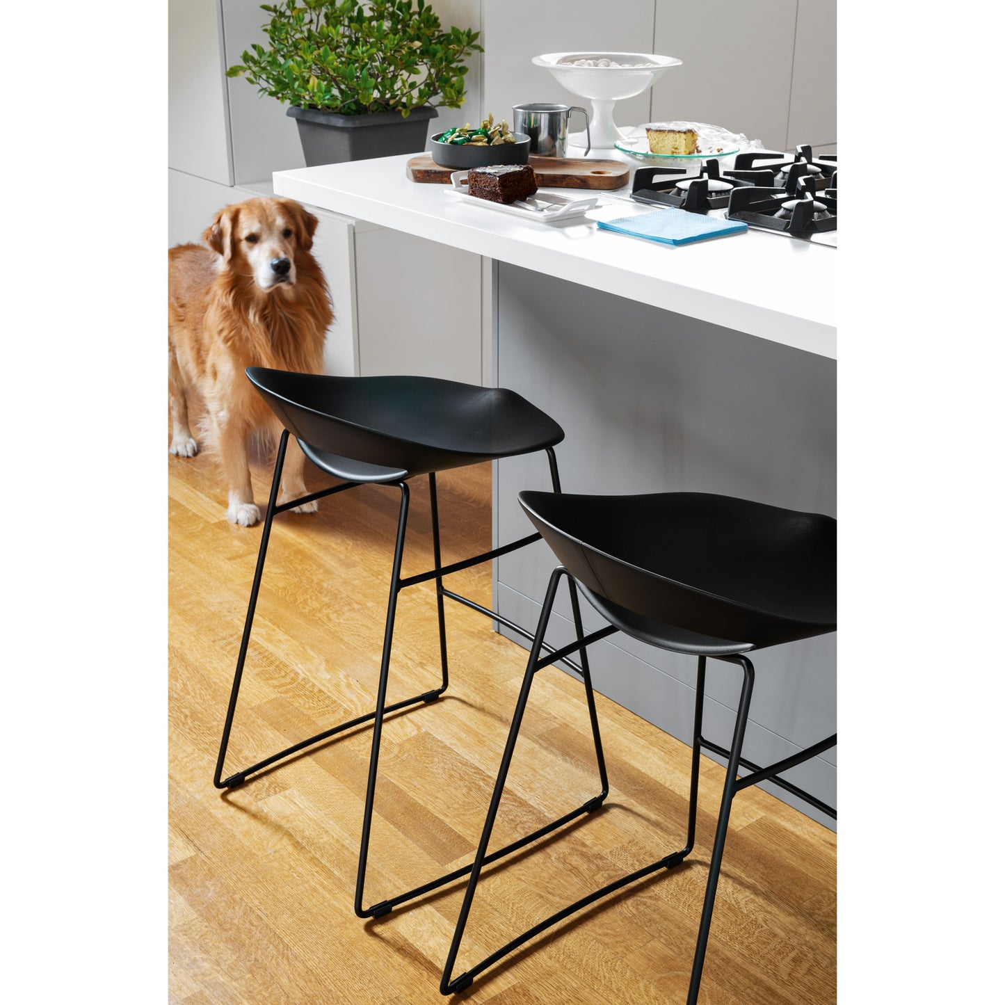 Cosmopolitan Sled Stool