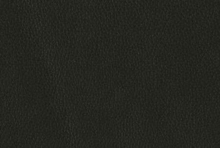 20RE Editions Leathers