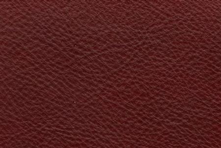 2550 natutzzi leathers
